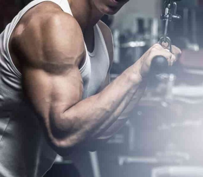 V Bar Triceps Workouts For Powerful Arms